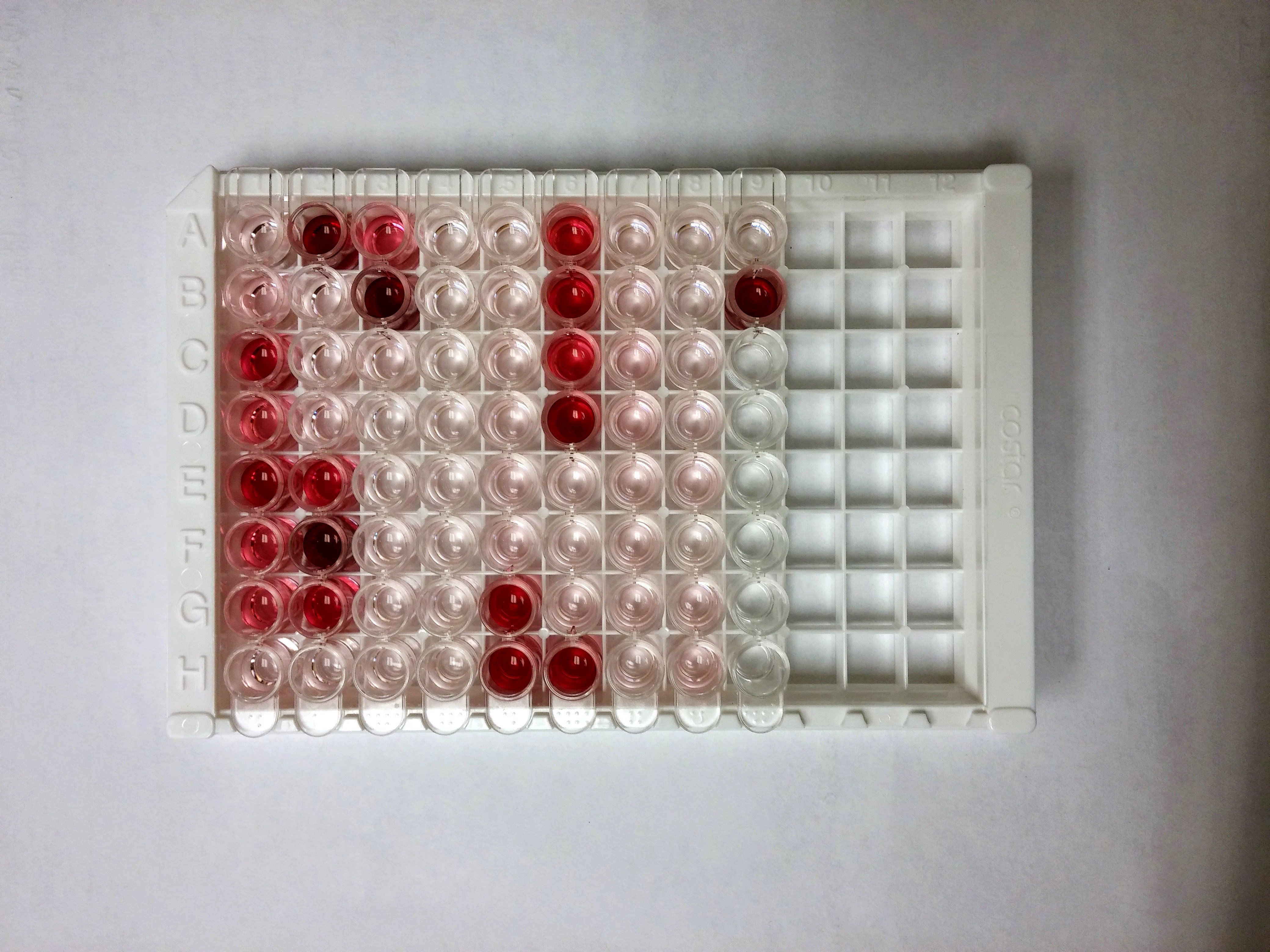 MycoProbe Mycoplasma Detection Kit (CUL001B) R&D Systems