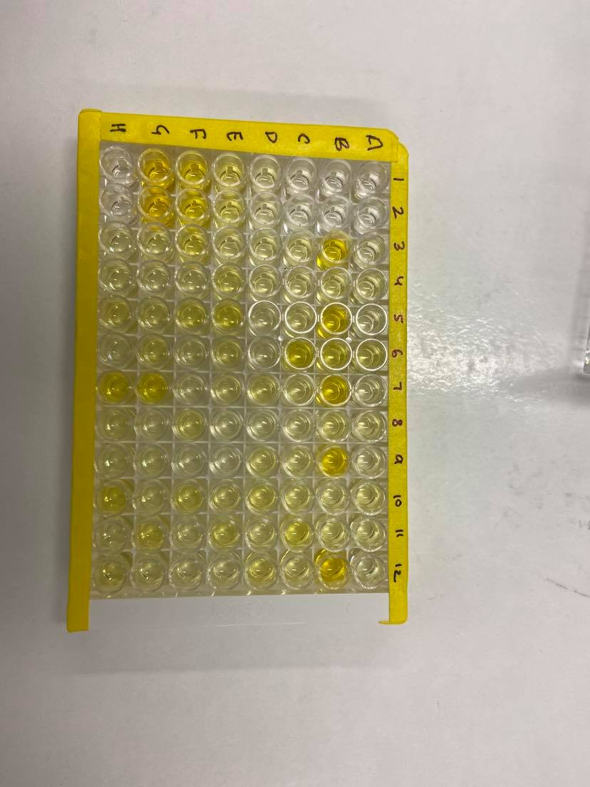 Human VCAM1/CD106 ELISA Quantikine DVC00 R&D Systems