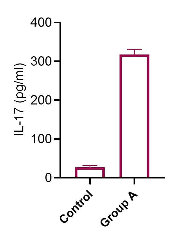 Mouse Il 17 Duoset Elisa Dy421 05 R D Systems