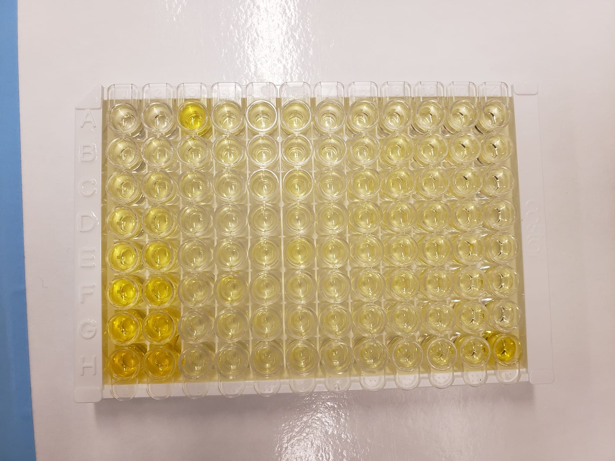 Human Il 1 Beta Il 1f2 Quantikine Hs Elisa Kit Hslb00d R D Systems