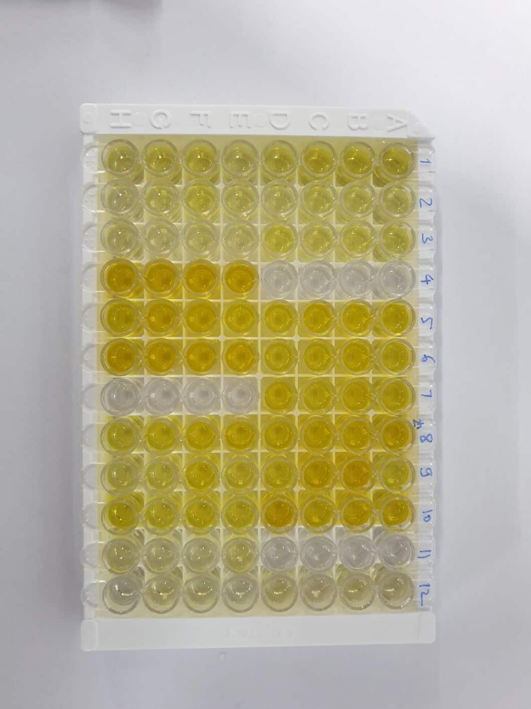 Mouse TNF-alpha ELISA Kit - Quantikine MTA00B: R&D Systems Mouse TNF-alpha ELISA Kit - Quantikine MTA00B: R&D Systems